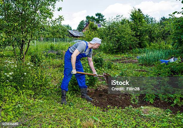 Medio Invecchiato Uomo Lavorando In Giardino - Fotografie stock e altre immagini di Abbigliamento - Abbigliamento, Adulto, Ambientazione esterna