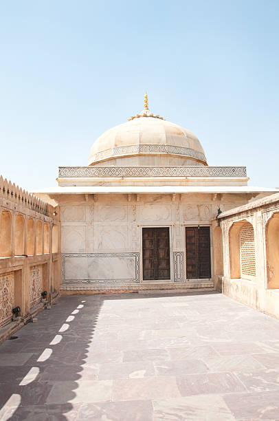 istock fort amber in india 501615393