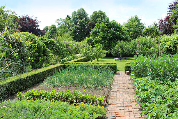 istock Ornamental vegetable garden image / walled kitchen garden, block-paved brick pathway 501615949