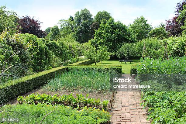 Ornamental Vegetable Garden Image Walled Kitchen Garden Blockpaved Brick Pathway Stock Photo - Download Image Now