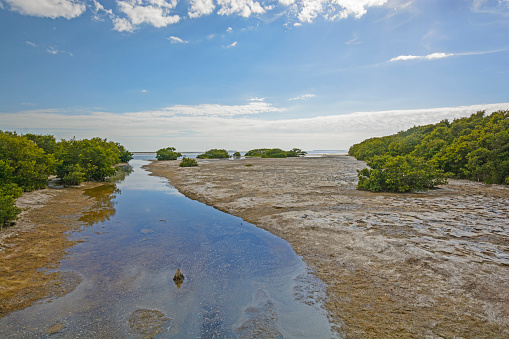 Snake Bight Creek entering into Florida Bay in the Everglades at Low Tide