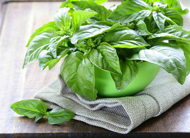 istock fresh green basil on a wooden background 501616187