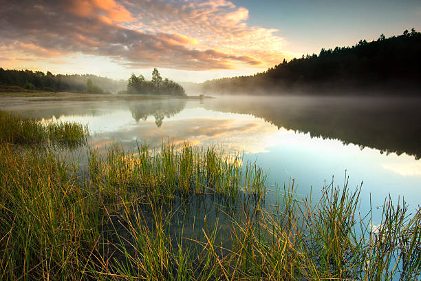 manhã, o lago. - pomerania - fotografias e filmes do acervo