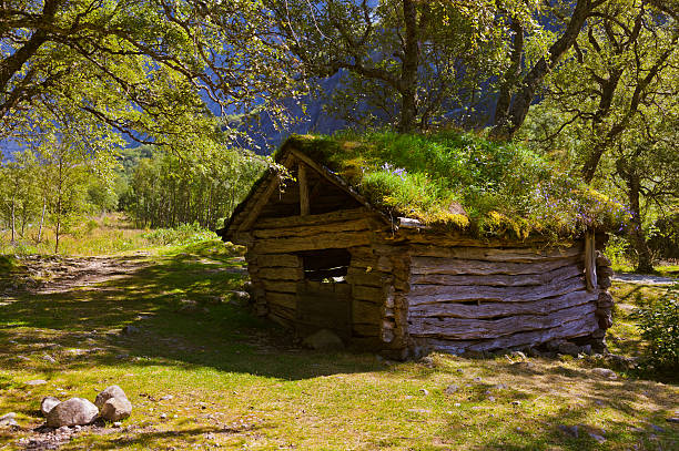 cerca de la antigua casa glaciar briksdal-noruega - sogn og fjordane county fotografías e imágenes de stock