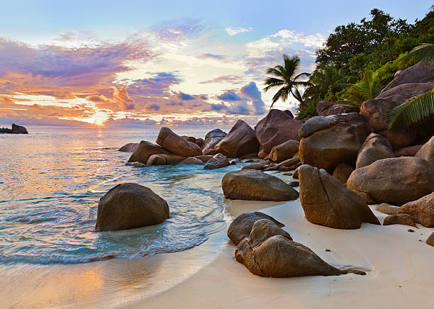 istock Seychelles tropical beach at sunset 501617358