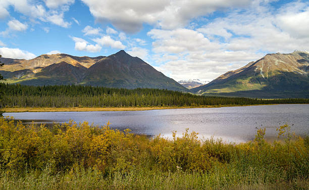istock Mountain and lake scenery in Alaska 501617588