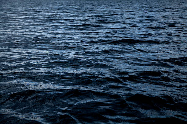 dark water - murky water photos et images de collection