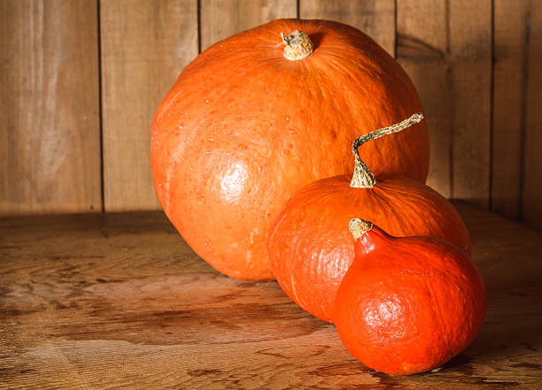 istock Pumpkins on grunge wooden backdrop background 501618601