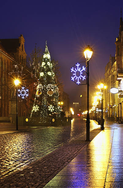 istock Street in Torun.  Poland 501619122