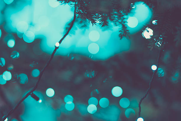 istock Winter Christmas Tree Holiday Lights Bokeh 501620462