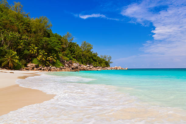 istock Tropical beach at island Praslin Seychelles 501620604