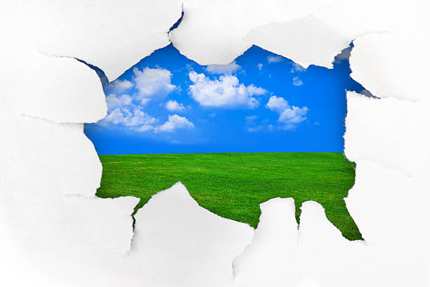 istock Paper hole and summer landscape 501621444
