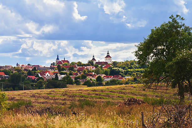 istock Village Smecno - Czech republic 501621510