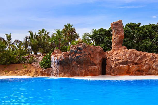 istock Waterfall in park at Tenerife Canary 501621900