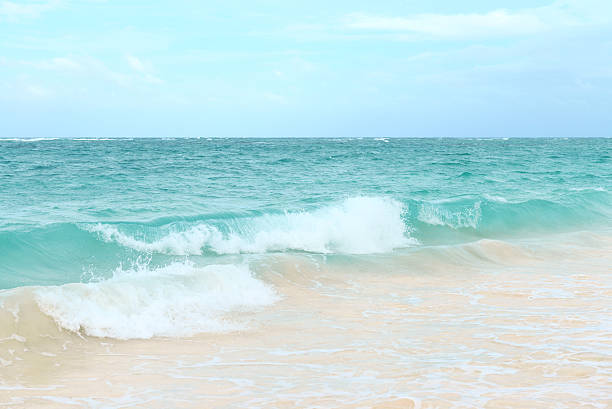 istock sandy beach and the sea 501623466