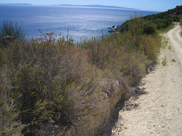 istock Ionian sea coast 501623646