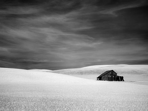 istock Infrared Field and House Palouse 501624456