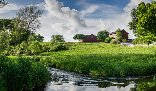 A group of old red barns on a green hilltop in summer with a gently flowing creek below in the foreground