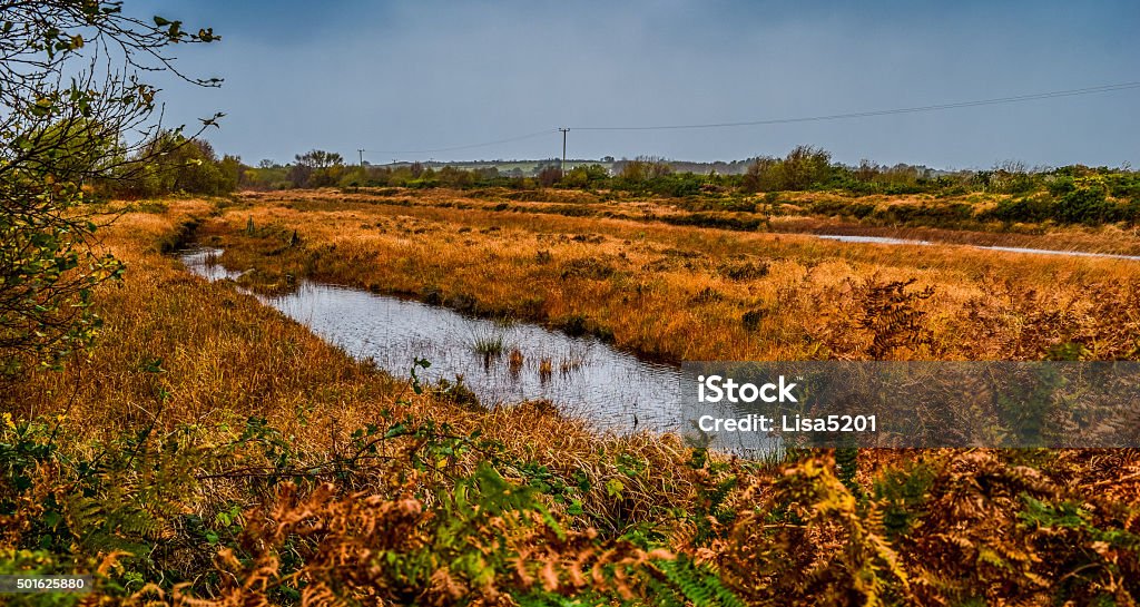 Paesaggio autunnale in Irlanda - Foto stock royalty-free di 2015