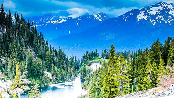 istock Picturesque meadows of Cascade Mountain range 501626896