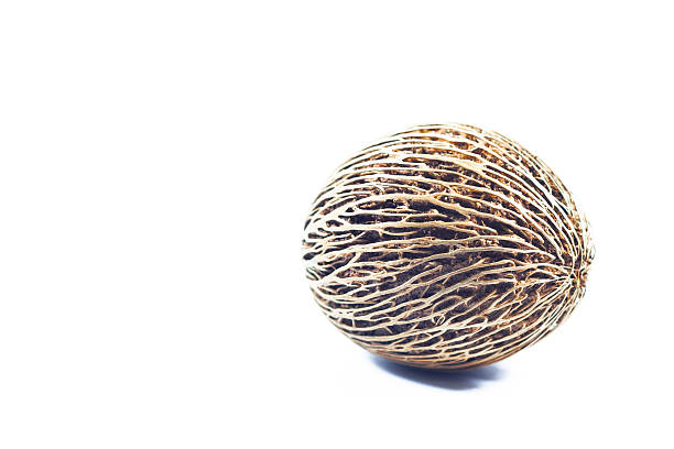 Cerbera oddloam's seed isolated on white background, stock photo