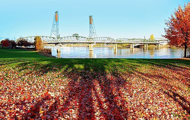 istock Portland Hawthorne Truss Bridge 501628464