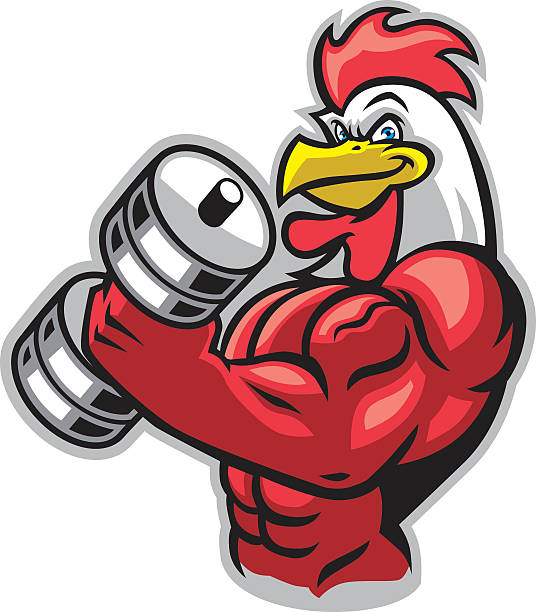 Chicken Cartoon Muscular Build Rooster Illustrations, Royalty-Free Vector  Graphics & Clip Art - iStock