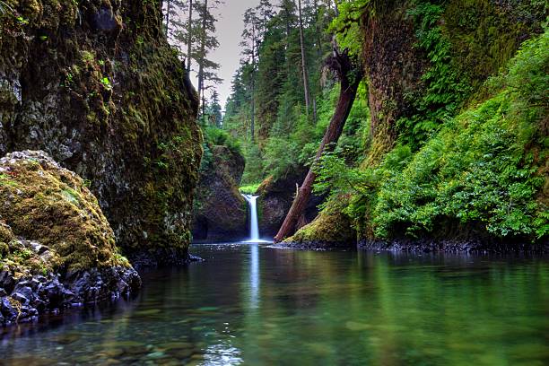 istock Punchbowl Falls, Saturated in Colors 501629076