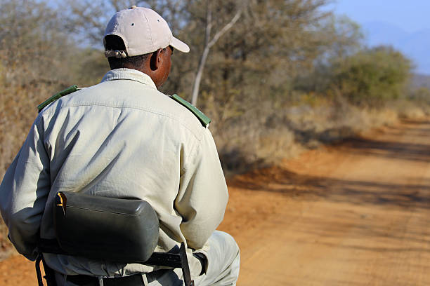 Karongwe, South Africa - August 15, 2015: A tracker sits in the forward seat attached to the front bumper of the safari vehicle while watching for wildlife in Kruger National Park.