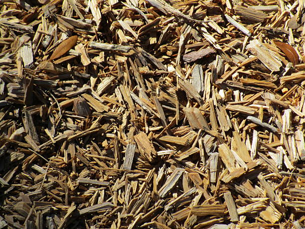 istock WOOD CHIPS IN PLAYGROUND AT PARK 501642142