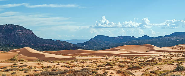 istock Coral pink sand dunes 501642626