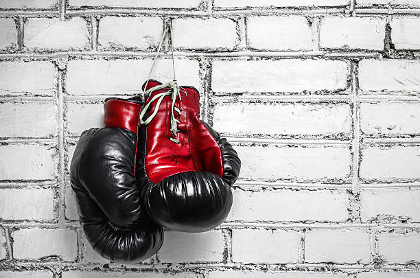 istock Pair of boxing gloves 501642684