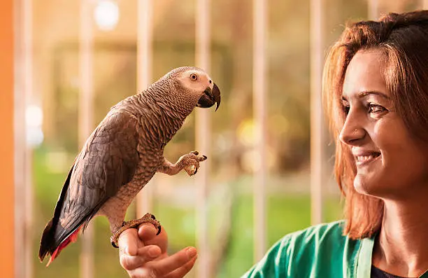 Photo of Young happy woman holding a gray parrot on her hand.