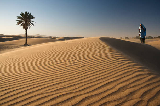 Erfoud, Morocco - June 23, 2010: A local man with a headscarf wrapped around his head walks along the crest of a sand dune in the Sahara Desert on a windy dusty day