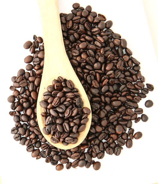 coffee bean on white background