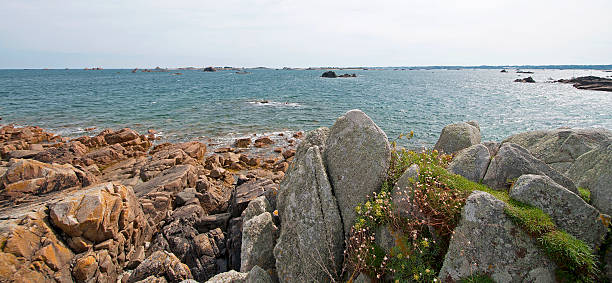istock Rocks on a beach along a sea in summer 501648486