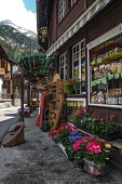 monte-rosa-alpen.jpg?b=1&s=170x170&k=20&c=mqtRDeKgQ_mSf2t066ASxslDRhKDP1Xs8hvA3MK4og0=