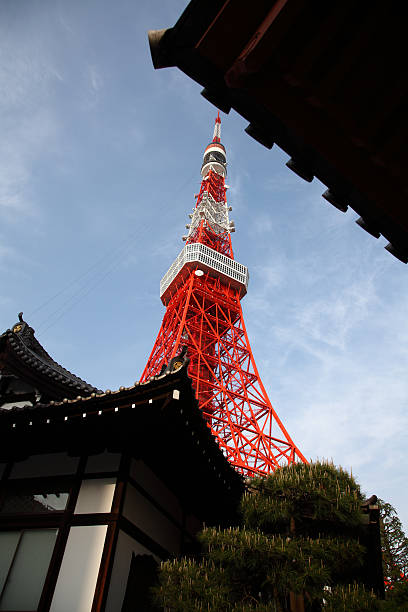 istock Tokyo Tower through Japanese traditional building 501649127