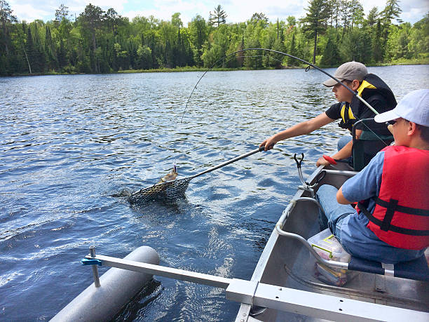 istock Boys fishing in a canoe catch a walleye 501649167