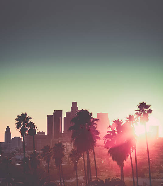 istock Downtown Los Angeles photographed at sunset 501649401