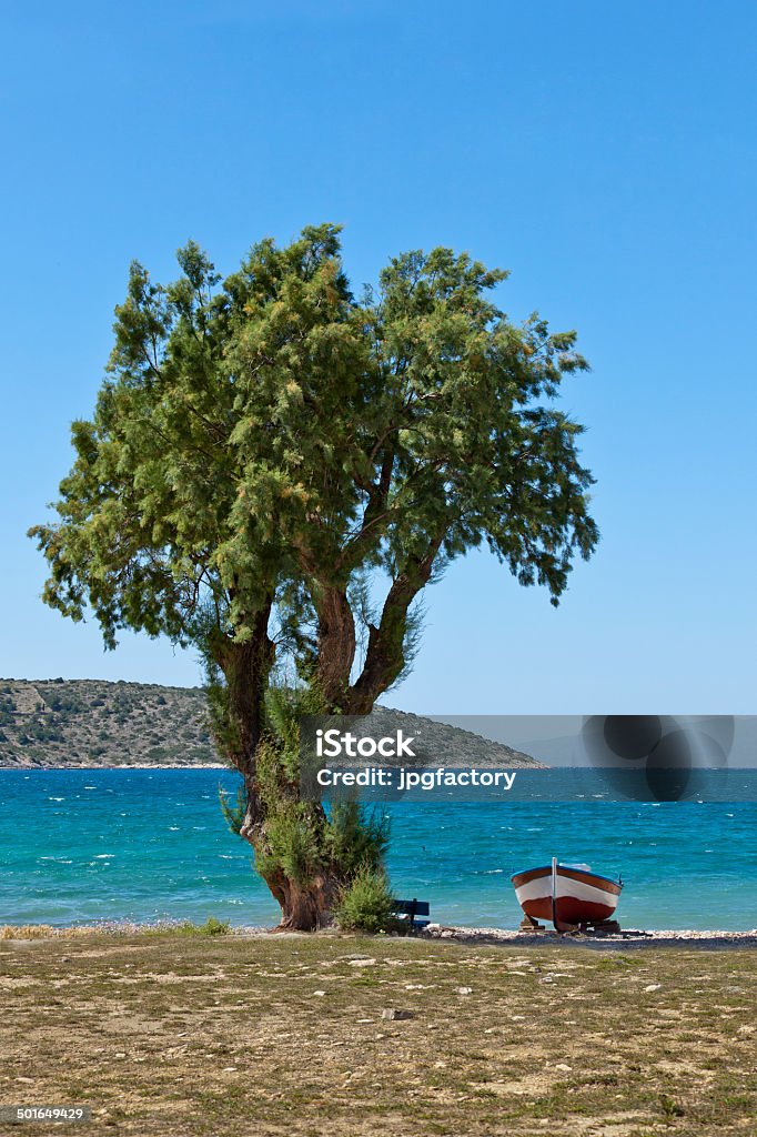 Der Baum und dem Boot - Lizenzfrei Abgeschiedenheit Stock-Foto