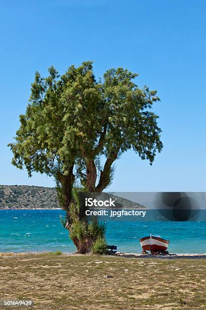 Der Baum Und Dem Boot Stockfoto und mehr Bilder von Abgeschiedenheit - Abgeschiedenheit, Baum, Blau