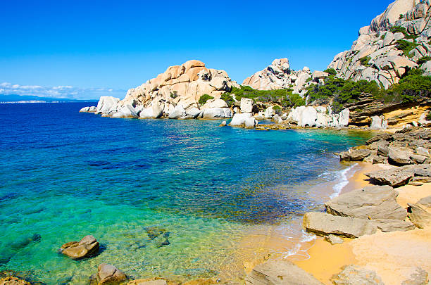 istock Capo Testa - Beautiful coast of sardinia 501651125
