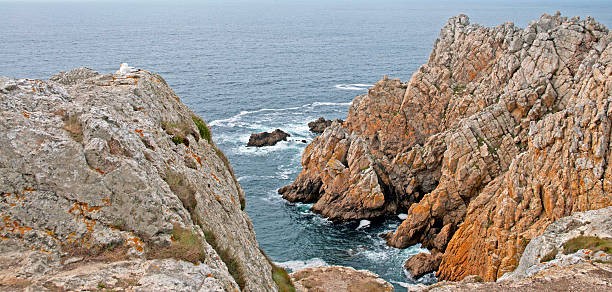 istock Cliffs along the coast of Brittany in summer 501651144