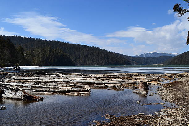 istock river mouth in Pudacuo national park 501651919