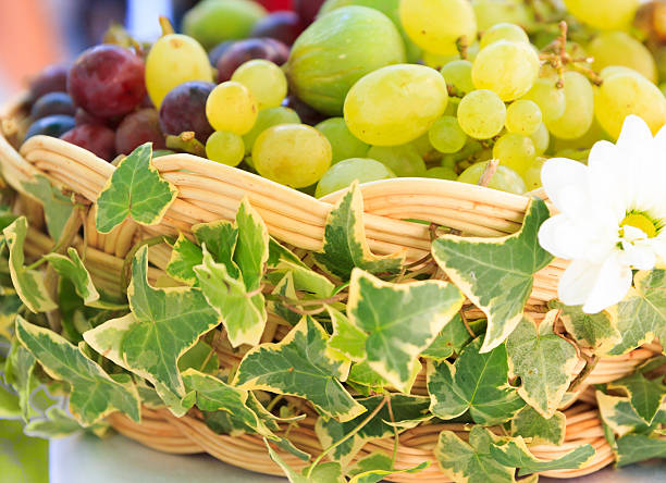 istock Basket full of grapes 501652334
