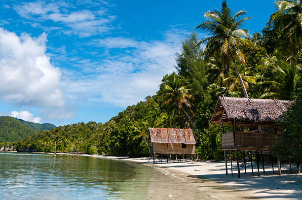 Nipa bamboo Huts at the White Sand beach with palm Nipa bamboo Huts at the White Sand beach with palm trees in Raja Ampat, Papua New Guinea, Indonesia Papua New Guinea stock pictures, royalty-free photos & images