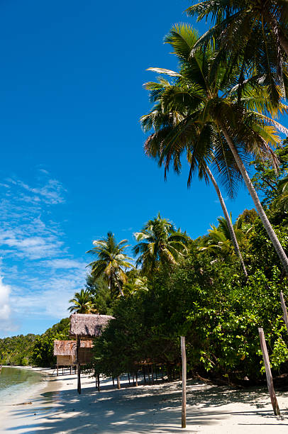 istock Nipa bamboo Huts at the White Sand beach with palm 501654140
