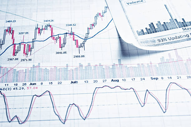 istock Showing business and financial report 501665395