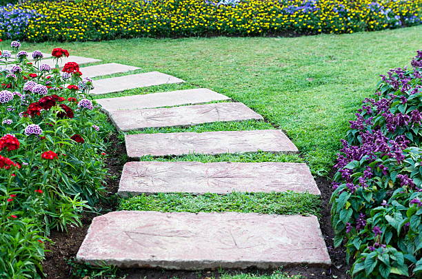 istock walkway in the flowers garden 501665773